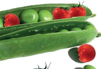 İşte GDO'lu ürün eken ülkeler ve ürünleri