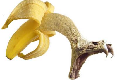 Pirinçten sonra şimdi de muzda vitamin masalı