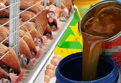 Atık yağları bize ‘yem’liyorlar mı?